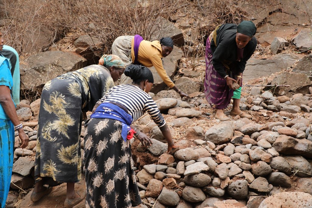992A9649-1024x683 Badasa and Leyai/Songa residents work together to restore shared water source
